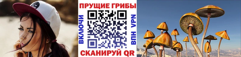 Псилоцибиновые грибы прущие грибы  купить наркотики цена  Куйбышев 